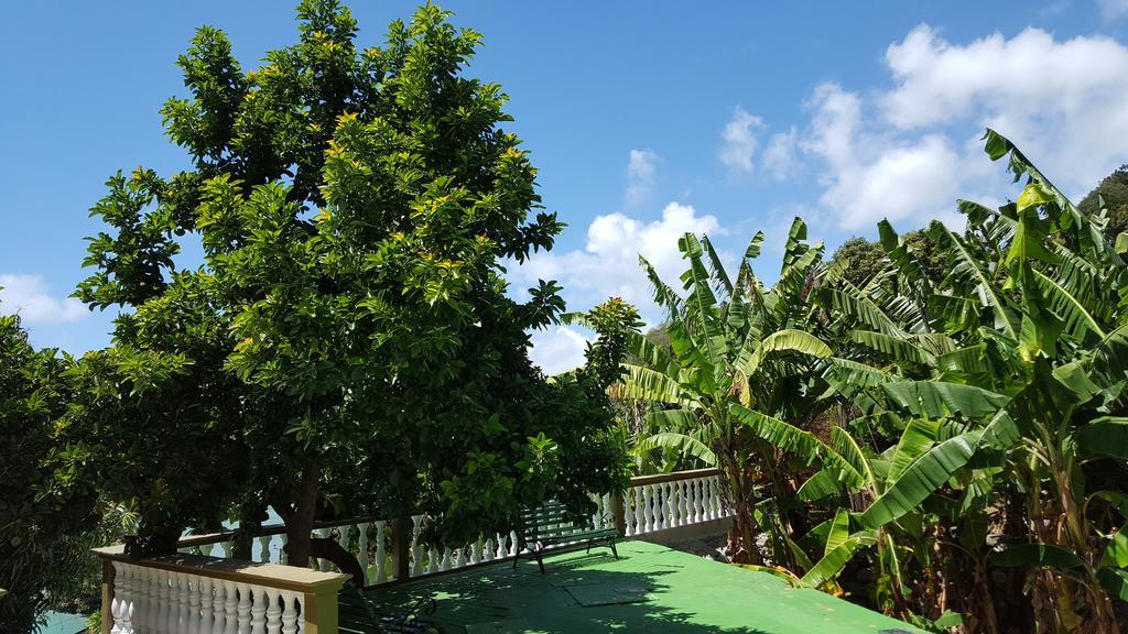 דירות ויקטוריה Hibiscus House Seychelles Self Catering מראה חיצוני תמונה
