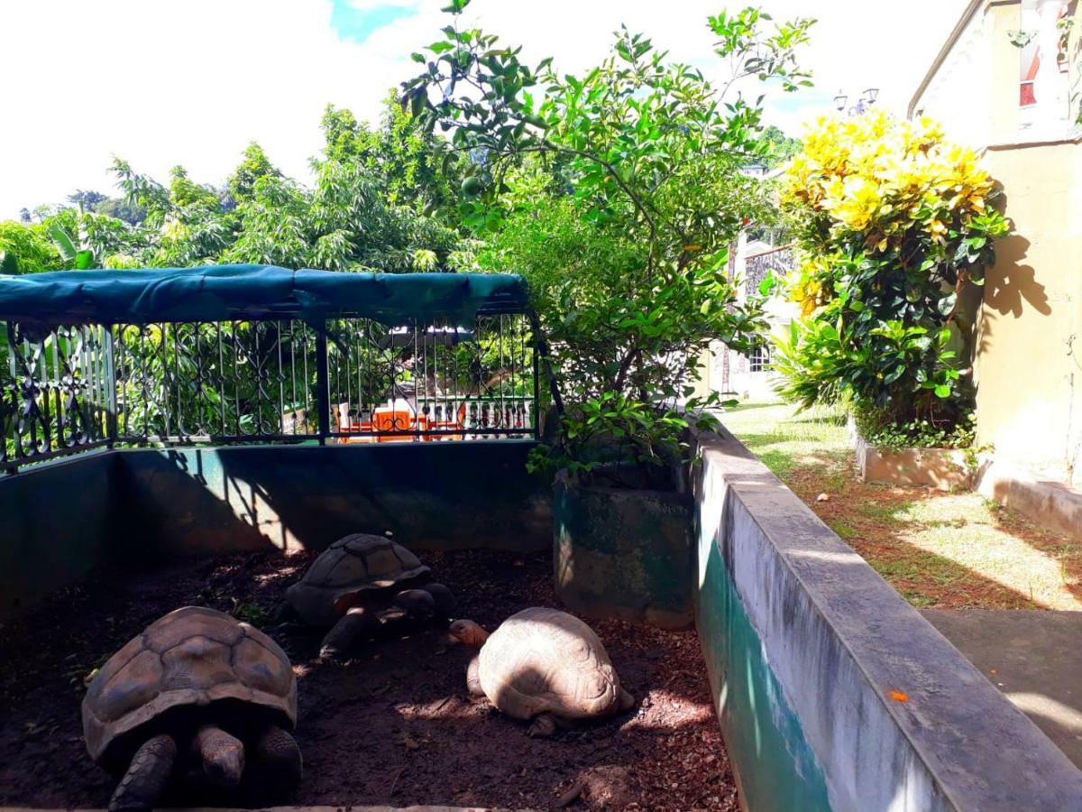 דירות ויקטוריה Hibiscus House Seychelles Self Catering מראה חיצוני תמונה